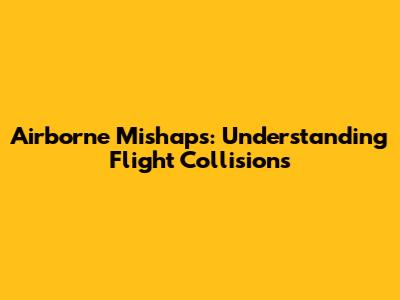 Airborne Mishaps: Understanding Flight Collisions