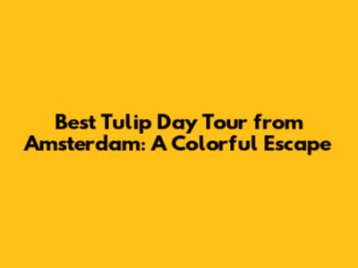 Best Tulip Day Tour from Amsterdam: A Colorful Escape