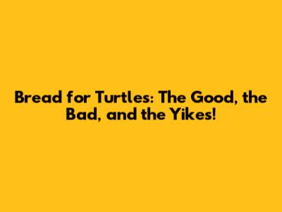 Bread for Turtles: The Good, the Bad, and the Yikes!
