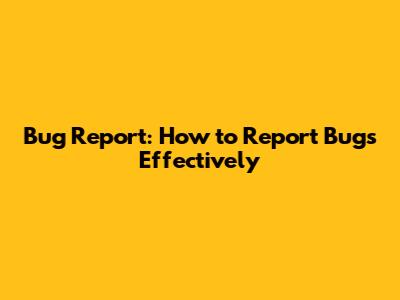 Bug Report: How to Report Bugs Effectively