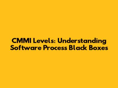 CMMI Levels: Understanding Software Process Black Boxes
