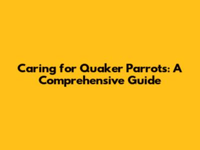 Caring for Quaker Parrots: A Comprehensive Guide