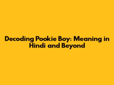 Decoding 'Pookie Boy': Meaning in Hindi and Beyond