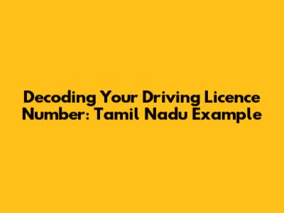 Decoding Your Driving Licence Number: Tamil Nadu Example