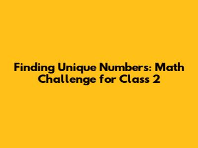 Finding Unique Numbers: Math Challenge for Class 2