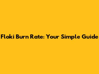 Floki Burn Rate: Your Simple Guide