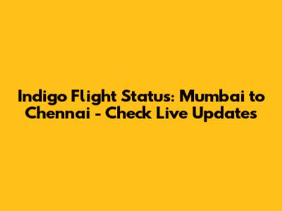 Indigo Flight Status: Mumbai to Chennai - Check Live Updates
