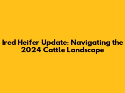 Ired Heifer Update: Navigating the 2024 Cattle Landscape