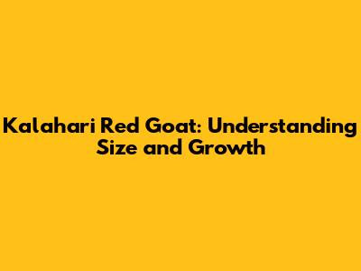 Kalahari Red Goat: Understanding Size and Growth