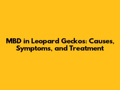 MBD in Leopard Geckos: Causes, Symptoms, and Treatment