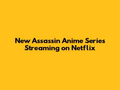 New Assassin Anime Series Streaming on Netflix