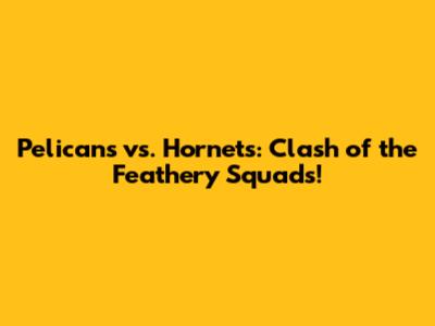 Pelicans vs. Hornets: Clash of the Feathery Squads!