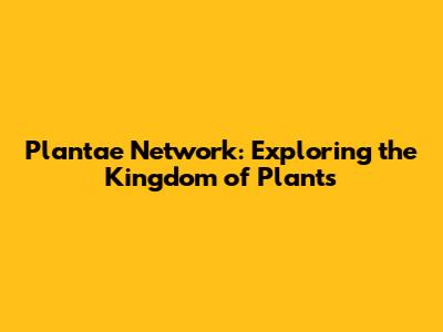 Plantae Network: Exploring the Kingdom of Plants