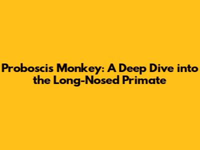 Proboscis Monkey: A Deep Dive into the Long-Nosed Primate
