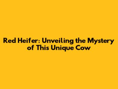 Red Heifer: Unveiling the Mystery of This Unique Cow
