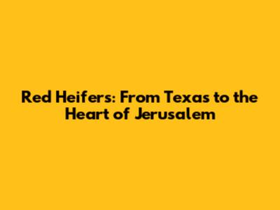Red Heifers: From Texas to the Heart of Jerusalem