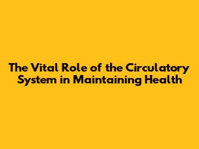 The Vital Role of the Circulatory System in Maintaining Health