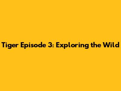 Tiger Episode 3: Exploring the Wild