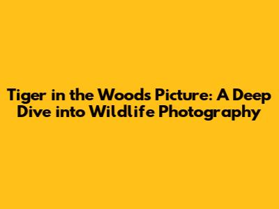 Tiger in the Woods Picture: A Deep Dive into Wildlife Photography