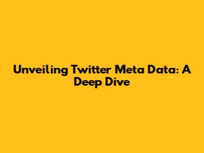 Unveiling Twitter Meta Data: A Deep Dive