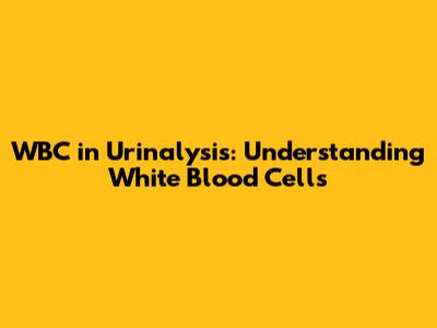 WBC in Urinalysis: Understanding White Blood Cells