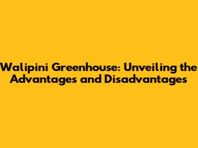 Walipini Greenhouse: Unveiling the Advantages and Disadvantages