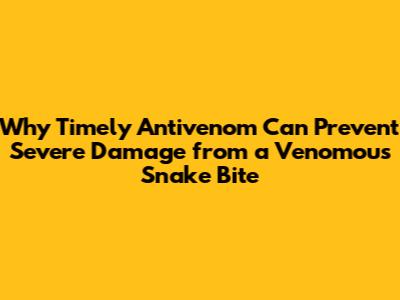 Why Timely Antivenom Can Prevent Severe Damage from a Venomous Snake Bite
