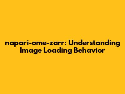 napari-ome-zarr: Understanding Image Loading Behavior